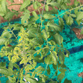 085003_20181018100023_03.JPG
