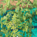 085003_20181018100024_02.JPG