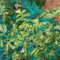 085003_20181018100029_01.JPG
