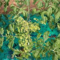 085003_20181022090918_01.JPG