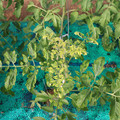 085003_20181022090918_03.JPG