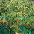 085003_20181022090922_03.JPG