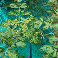 085003_20181022090929_01.JPG