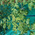 085003_20181022090929_03.JPG