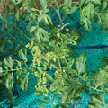 085003_20181022090929_04.JPG