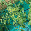 085003_20181022090930_04.JPG