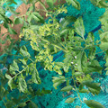 085003_20181022090931_03.JPG