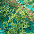 085003_20181022090932_01.JPG
