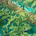 085003_20181022090932_02.JPG