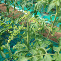 085003_20181022090932_04.JPG