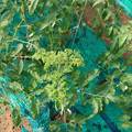 085003_20181022090940_01.JPG