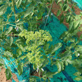 085003_20181022090940_03.JPG