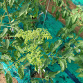 085003_20181022090941_02.JPG