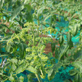 085003_20181022090943_01.JPG