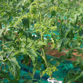 085003_20181022090945_01.JPG