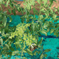 085003_20181022090948_02.JPG