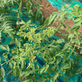 085003_20181022090958_03.JPG