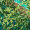 085003_20181022090959_01.JPG