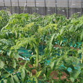 085003_20181022091002_03.JPG