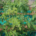 085003_20181022091009_02.JPG