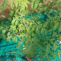 085003_20181022091034_03.JPG