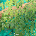 085003_20181022091036_02.JPG