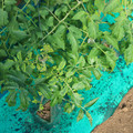 085003_20181025090218_01.JPG