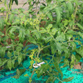 085003_20181025090224_01.JPG