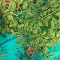 085003_20181025090230_01.JPG