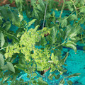085003_20181025090314_01.JPG