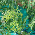 085003_20181025090315_01.JPG