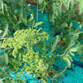 085003_20181025090315_03.JPG