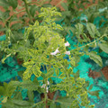 085003_20181026142721_02.JPG