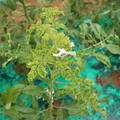085003_20181026142721_03.JPG