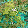 085003_20181026142722_02.JPG