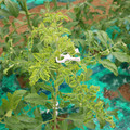 085003_20181026142722_03.JPG