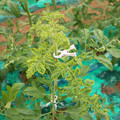 085003_20181026142722_04.JPG