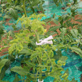 085003_20181026142723_02.JPG