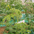 085003_20181026142724_03.JPG