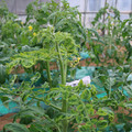 085003_20181026142725_01.JPG