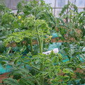 085003_20181026142726_01.JPG