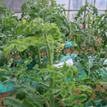 085003_20181026142726_02.JPG