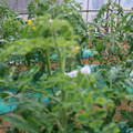 085003_20181026142726_04.JPG
