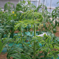085003_20181026142729_01.JPG