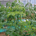 085003_20181026142730_04.JPG