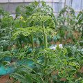 085003_20181026142730_05.JPG