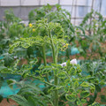 085003_20181026142731_02.JPG