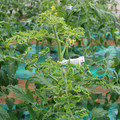 085003_20181026142736_01.JPG
