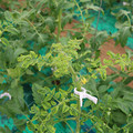085003_20181026142744_03.JPG