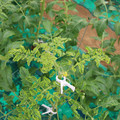 085003_20181026142745_02.JPG